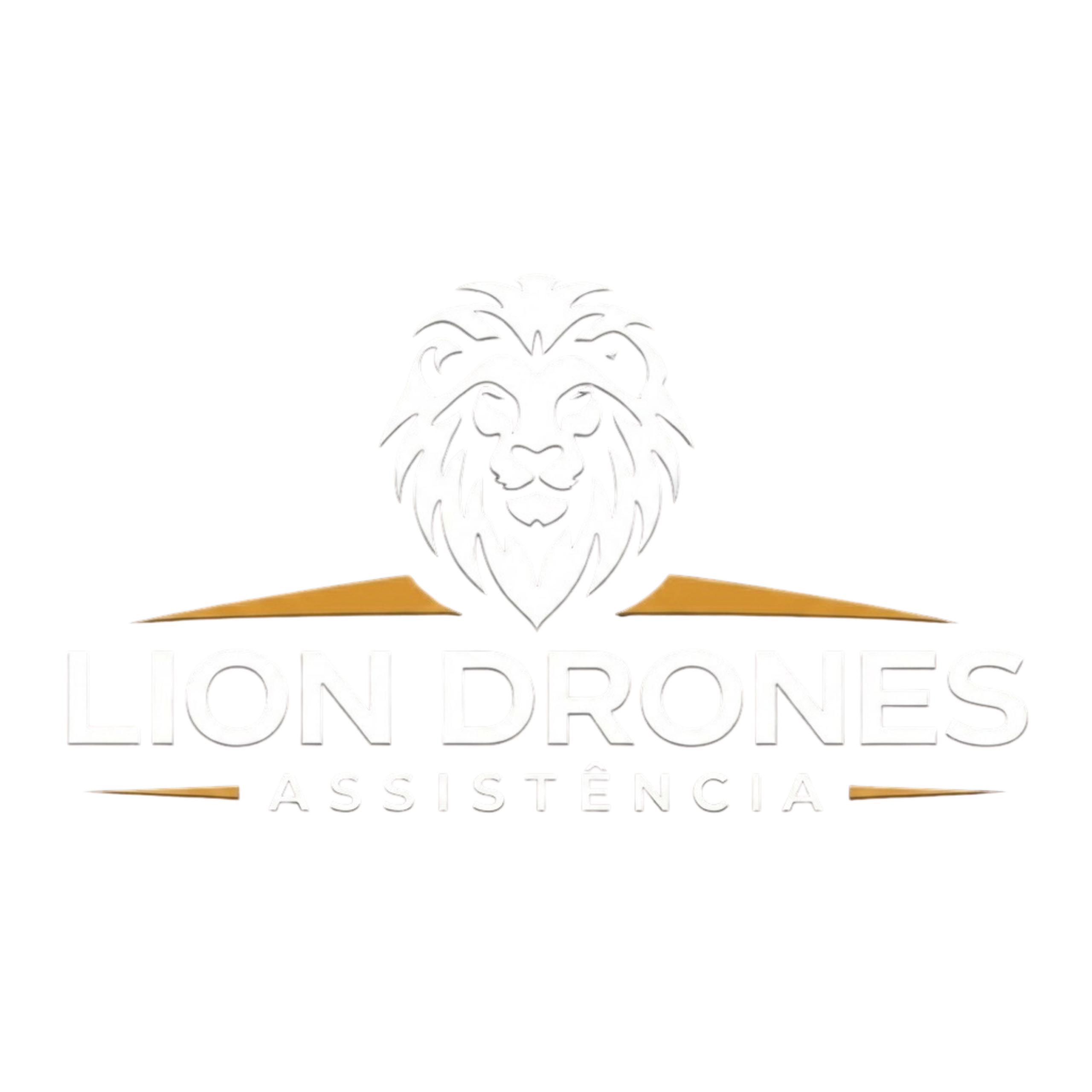 Lion Drones Assistência